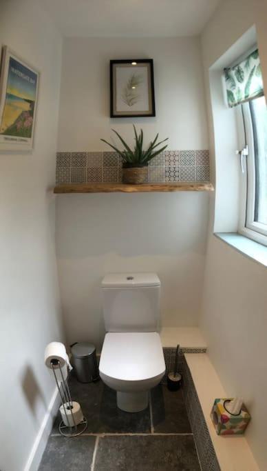 Cosy Rustic Annex In Quiet Cornwall Village Saint Wenn Екстер'єр фото